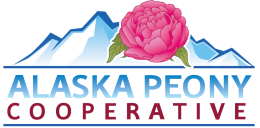 Alaska Peony Cooperative - Premium Alaska Grown Peonies, Wedding Peonies, Alaska Peony Farms
